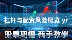杠杆与配资风险概览 yr