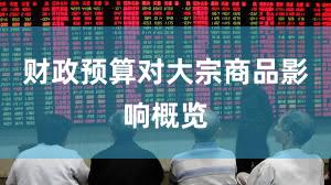 财政预算对大宗商品影响概览
