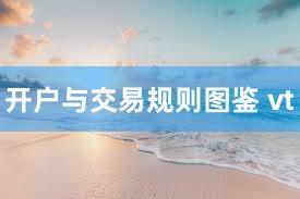 开户与交易规则图鉴 vt